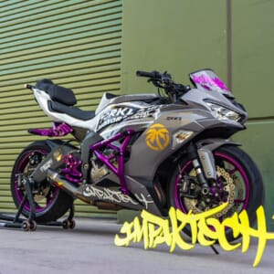 ZX-6R (13-22) デザインが美しいIMPAKTECH製 サブケージ｜AxxL