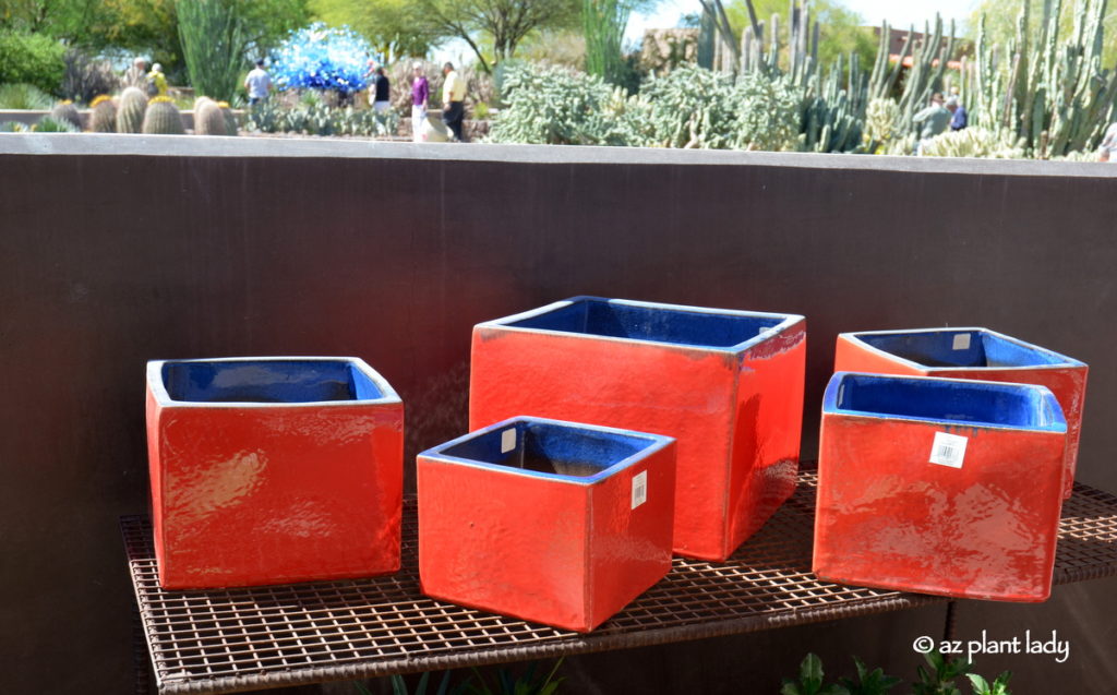 Containers Archives - Page 3 of 5 - Desert Gardening 101