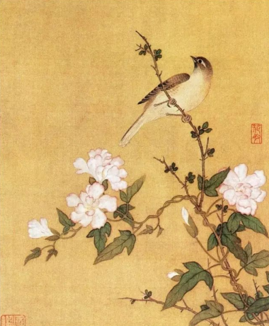 笔墨生动的花鸟画家马荃，擅长勾染画法– 博物画
