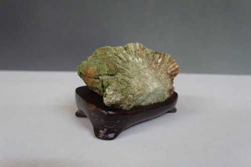 菊花石 (下仁田産) 【 水石 22 ― 03 】 - 小品盆栽専門店 湘風園