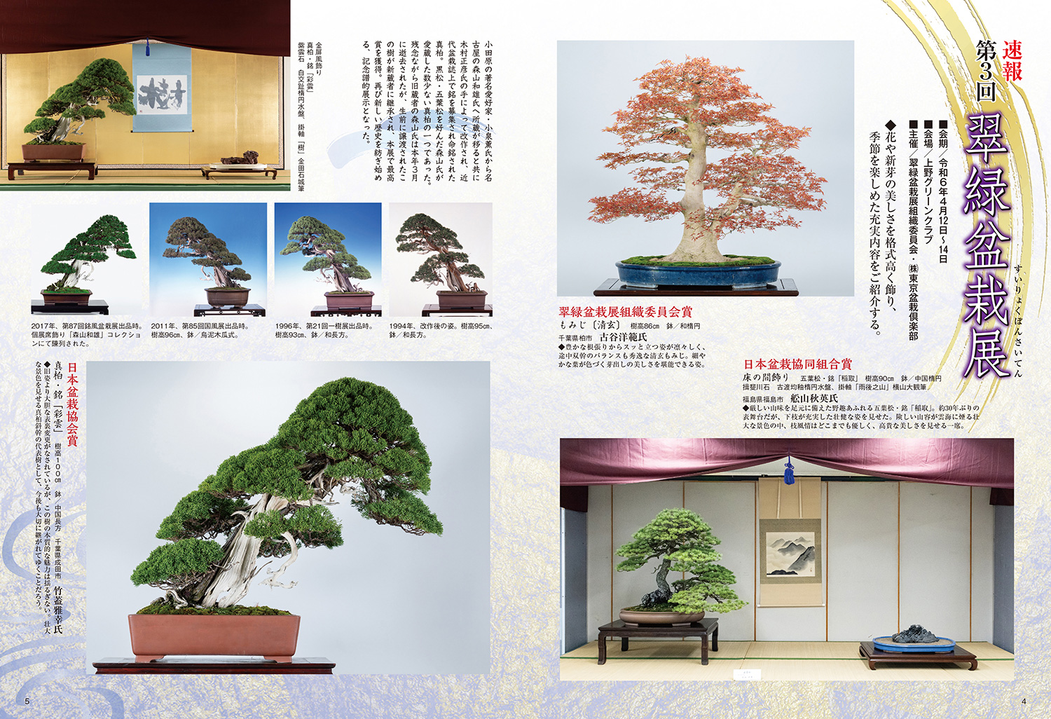 ブ*グ様 フォロワー300人記念オークション 五葉松 文人 盆栽 大品盆栽