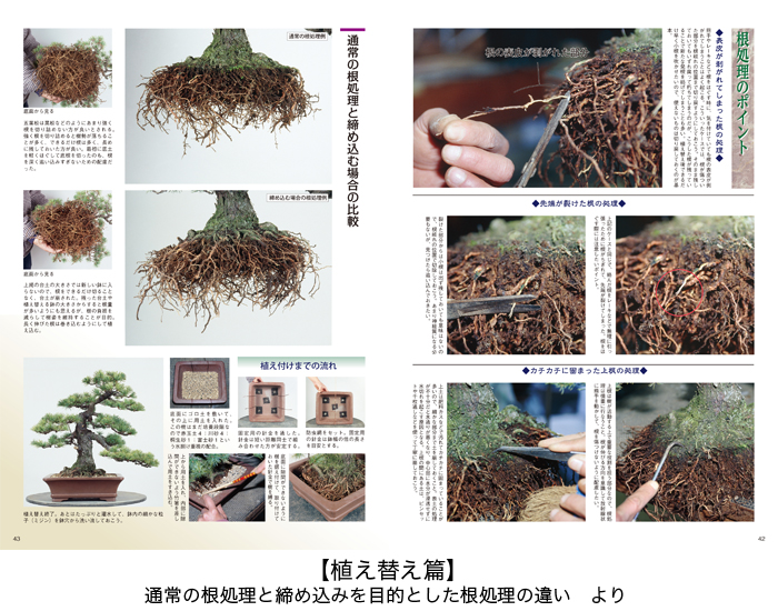 盆栽メジャー樹種 黒松・五葉松・真柏をとことん知る3冊セット | 盆栽