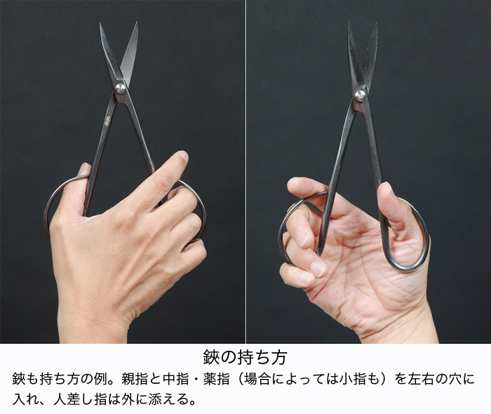 ステンレス芽切り鋏 | 盆栽、盆栽書籍、盆栽鉢の通販│近代出版