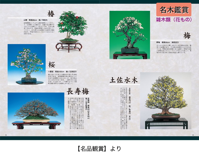 盆栽入門マニュアル2〔図解篇〕 | 盆栽、盆栽書籍、盆栽鉢の通販│近代出版