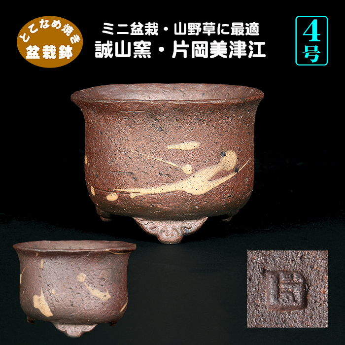 誠山窯・片岡美津江作 雲足丸鉢 | 盆栽、盆栽書籍、盆栽鉢の通販│近代出版