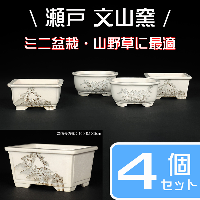 お得なセット鉢 | 盆栽、盆栽書籍、盆栽鉢の通販│近代出版