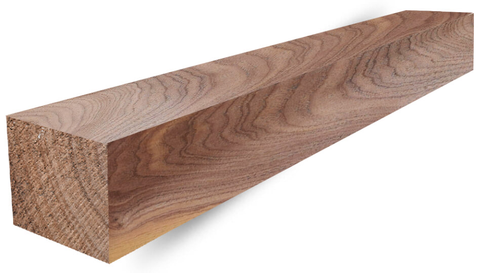 Walnut 3