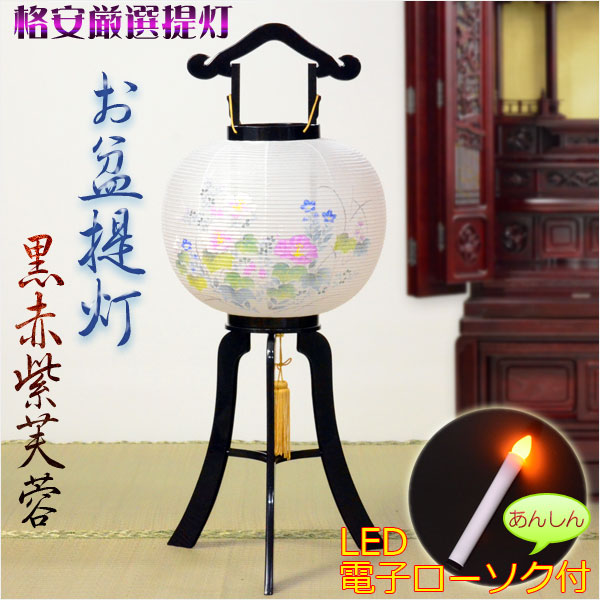 格安厳選 お盆提灯【岐阜提灯：松印黒赤紫芙蓉】あんしんLED電子