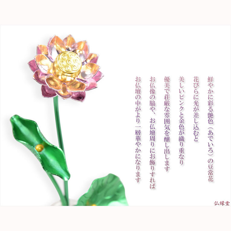 豆常花＋花立セット【艶色（あでいろ）咲れんげ：3本立2.5寸鍋長色