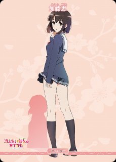 冴えない彼女の育てかた」シリーズビルディバイド - ブライト -通販