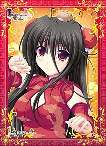 スリーブ】ねくねっとガールズスリーブコレクション Vol.067 G線上の