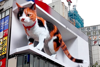 渋谷駅と新宿駅にキュートで巨大な3D秋田犬＆三毛猫が出現／東京の観光