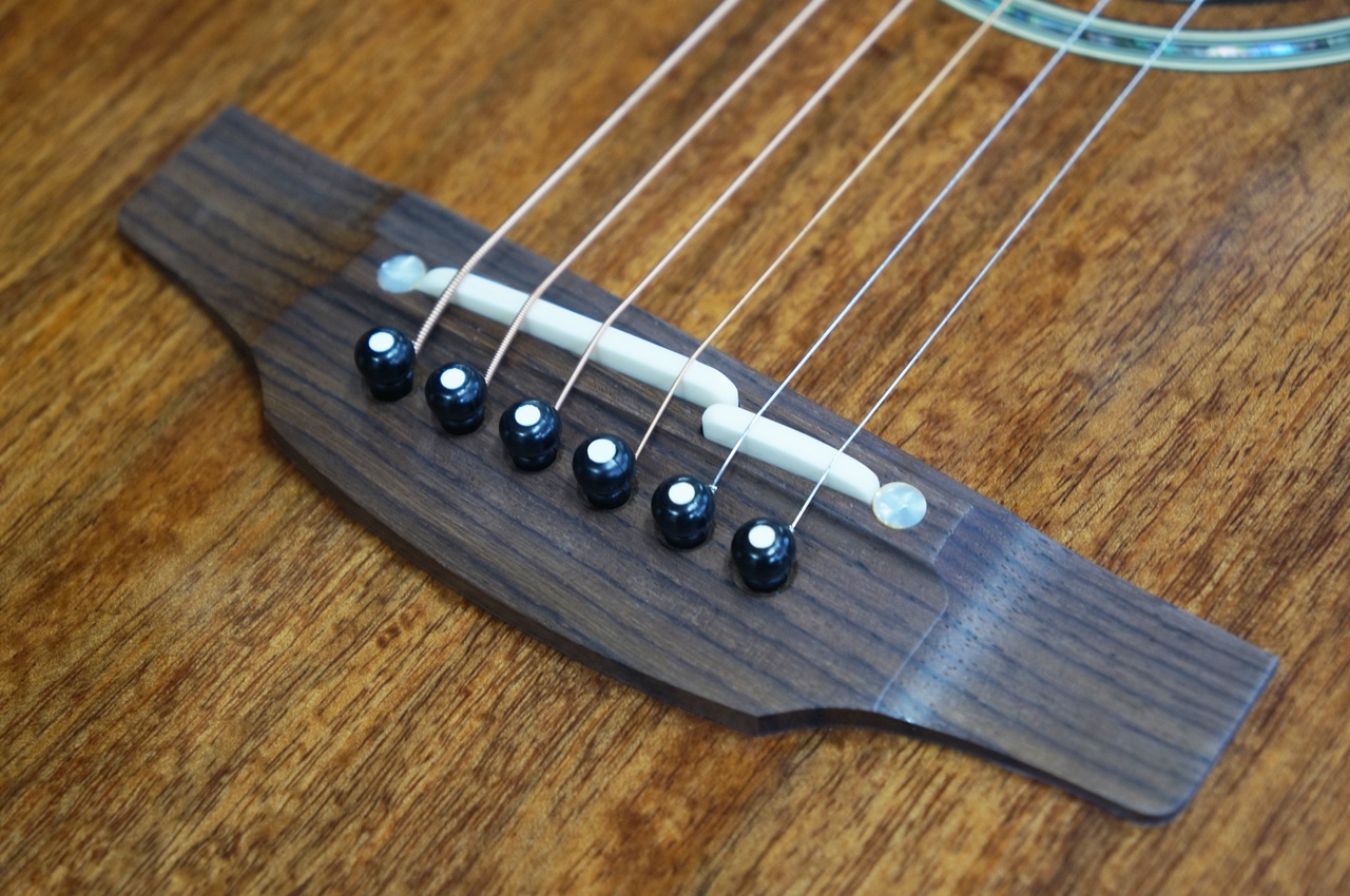 Takamine PTU431K / 楽器屋BOW オンラインストア