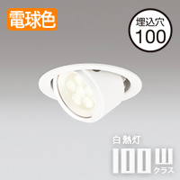 ユニバーサル式 ダウンライト Φ100mm【軒下・室内兼用】｜照明の