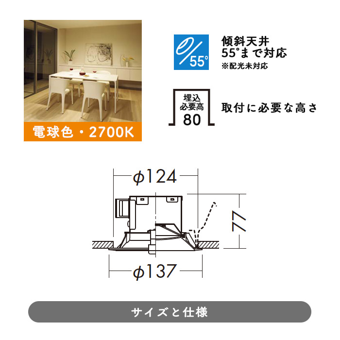 防雨型 ダウンライト Φ125mm 電球色 60W | ブラック｜照明の