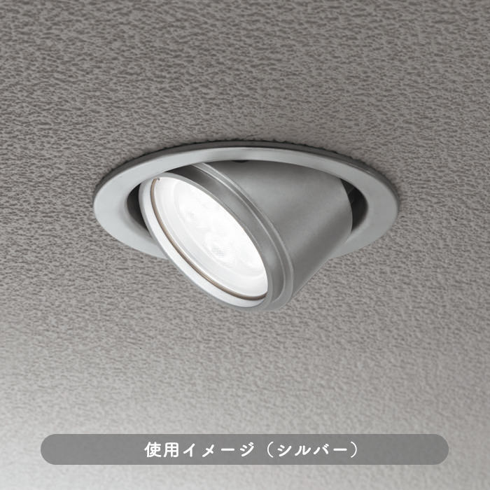 ダウンライト ユニバーサル Φ100 60W 電球色・ブラック【軒下・室内