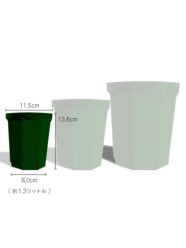 乙庭愛用 スリット鉢 4号(12cm)ロングポット 5個セット - ACID NATURE 乙庭
