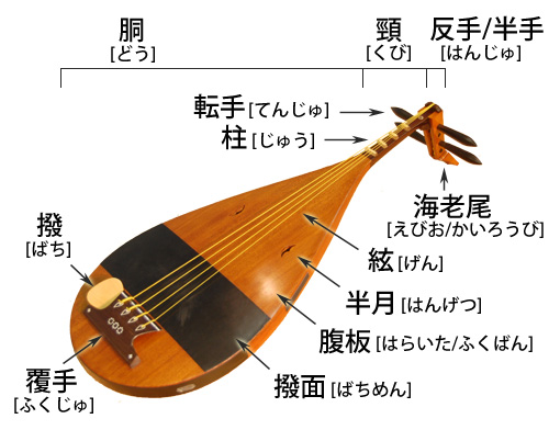 アジアの楽器図鑑