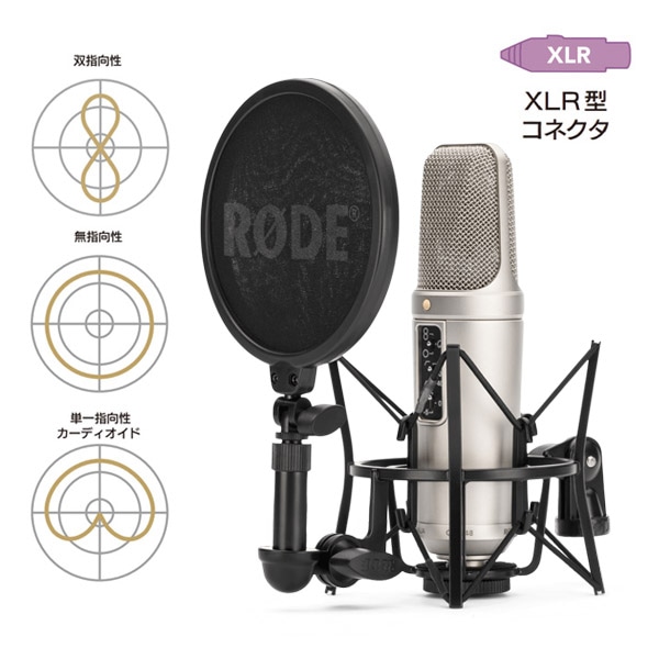 30%/OUTLET】RODE(ロード) NT2-A / コンデンサーマイク / NT2A: マイク