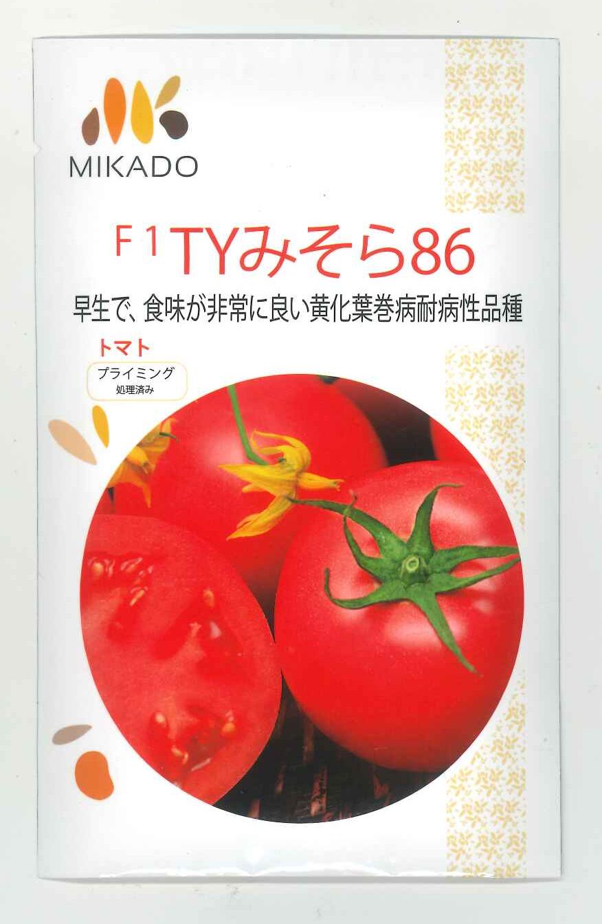 送料無料 [トマト] 大玉トマト TYみそら86 100粒 ヴィルモランみかど