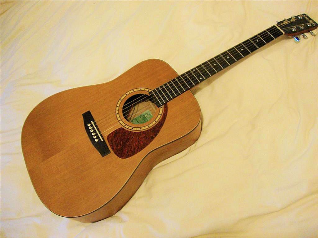 Simon & Patrick S&P 6 Cedar - Classic Guitars by Guitarware