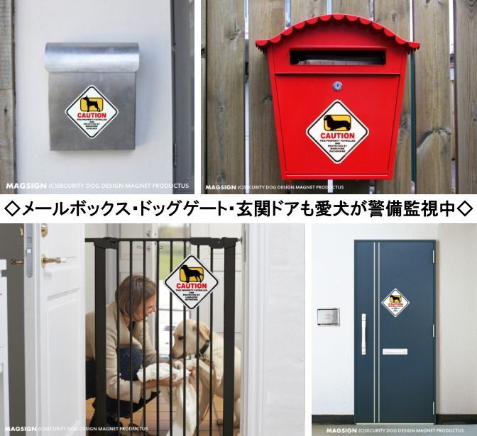 ポインター 英語 犬注意/私有地/警備監視中 マグネット＆ステッカー
