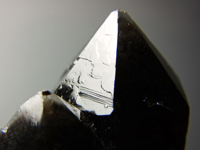 岐阜県蛭川田原産 煙水晶 (Smoky Quartz / Japan) - 鉱物標本販売店