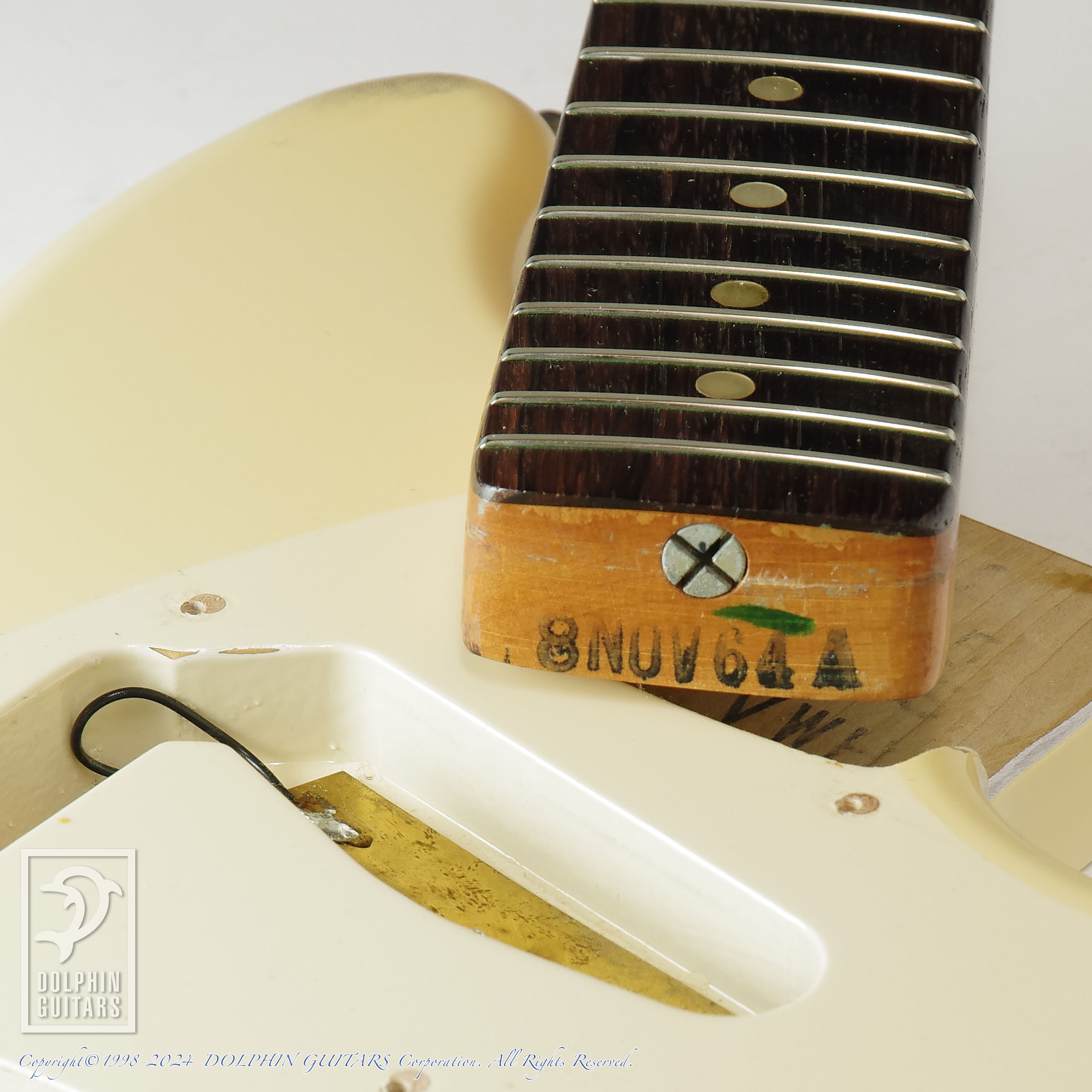 FENDER USA Mustang|ドルフィンギターズ