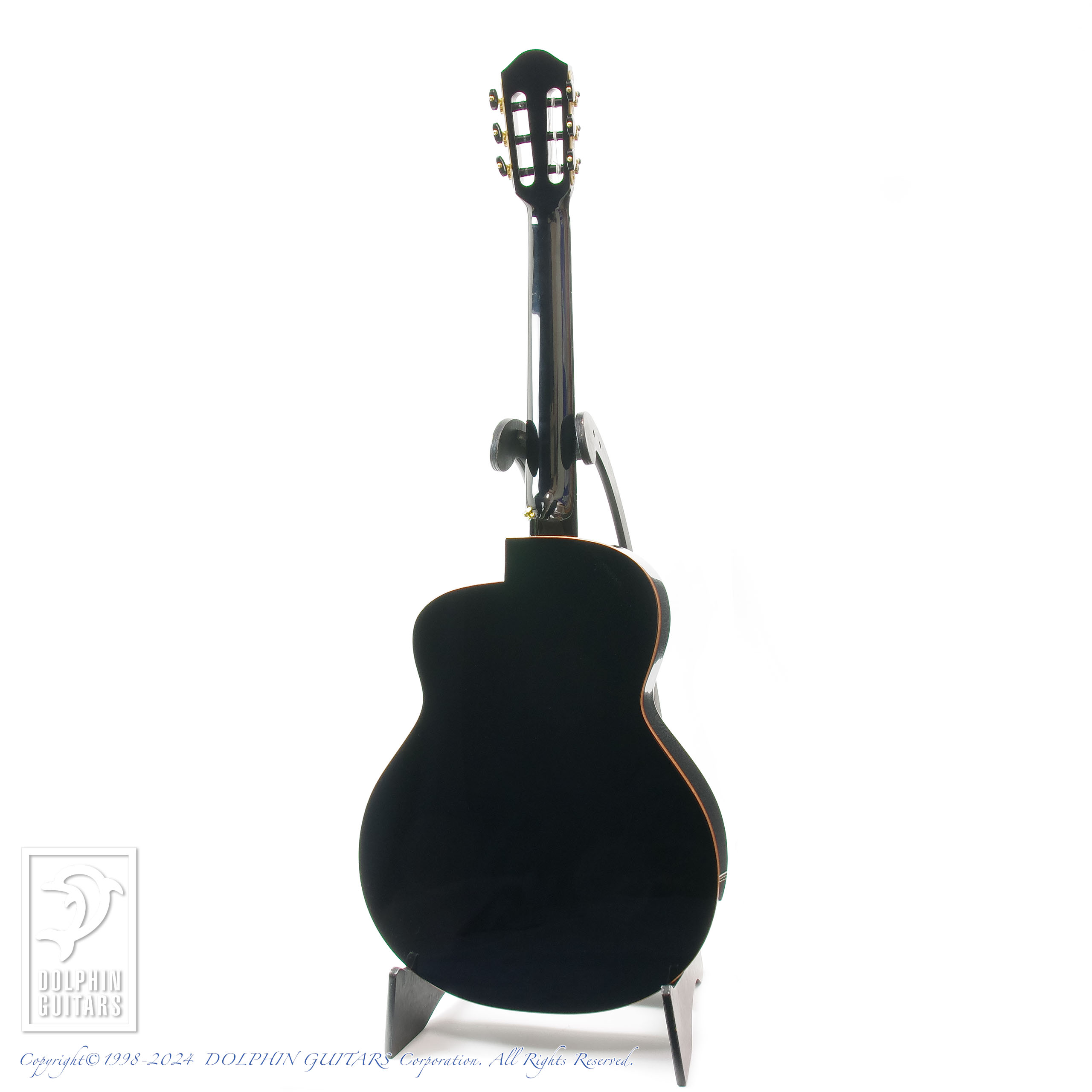 aNueNue aNN-LN77E (Nylon Strings)|ドルフィンギターズ