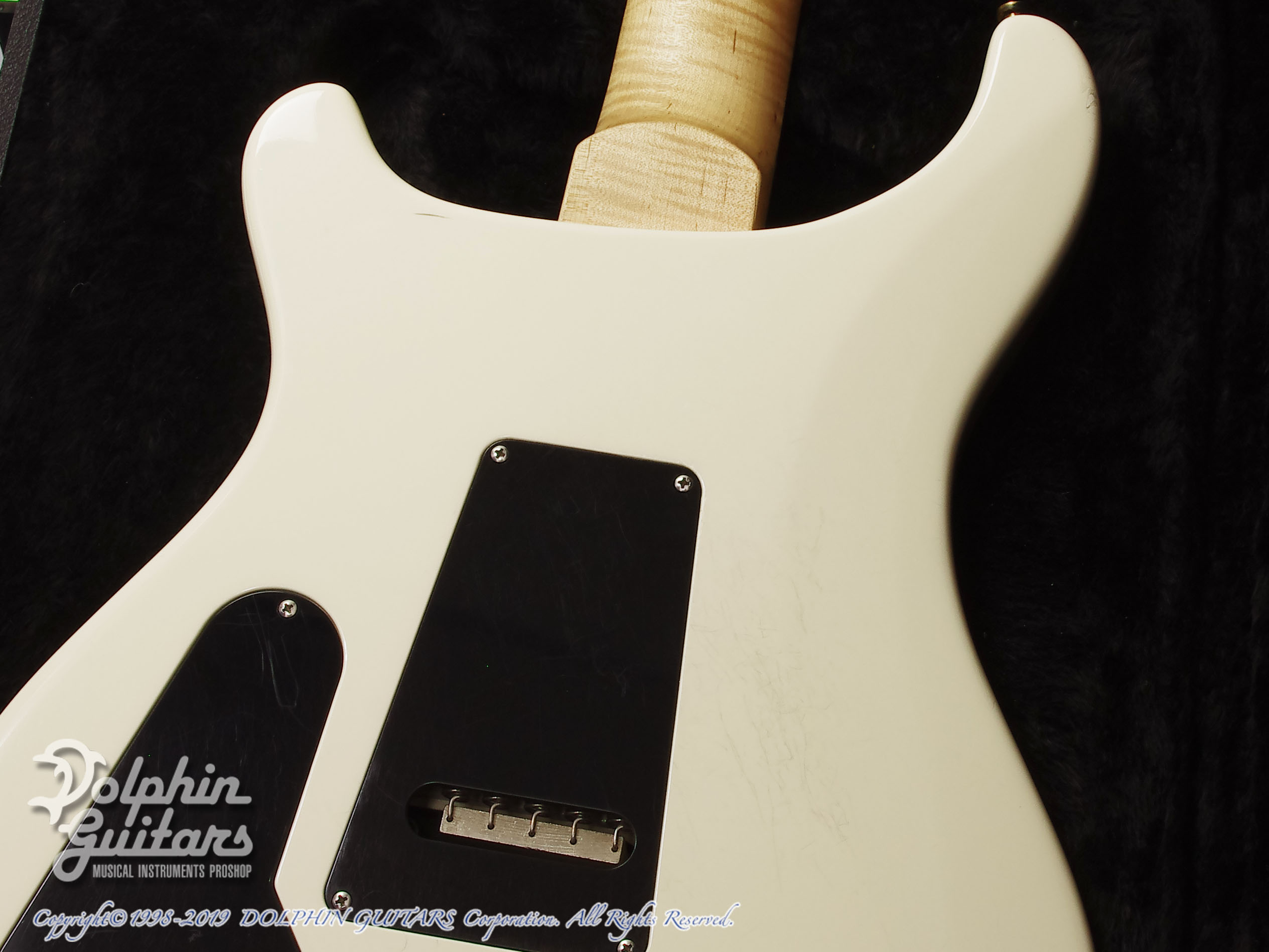 PAUL REED SMITH Custom 24 Floyd Rose (Antique White)|ドルフィン