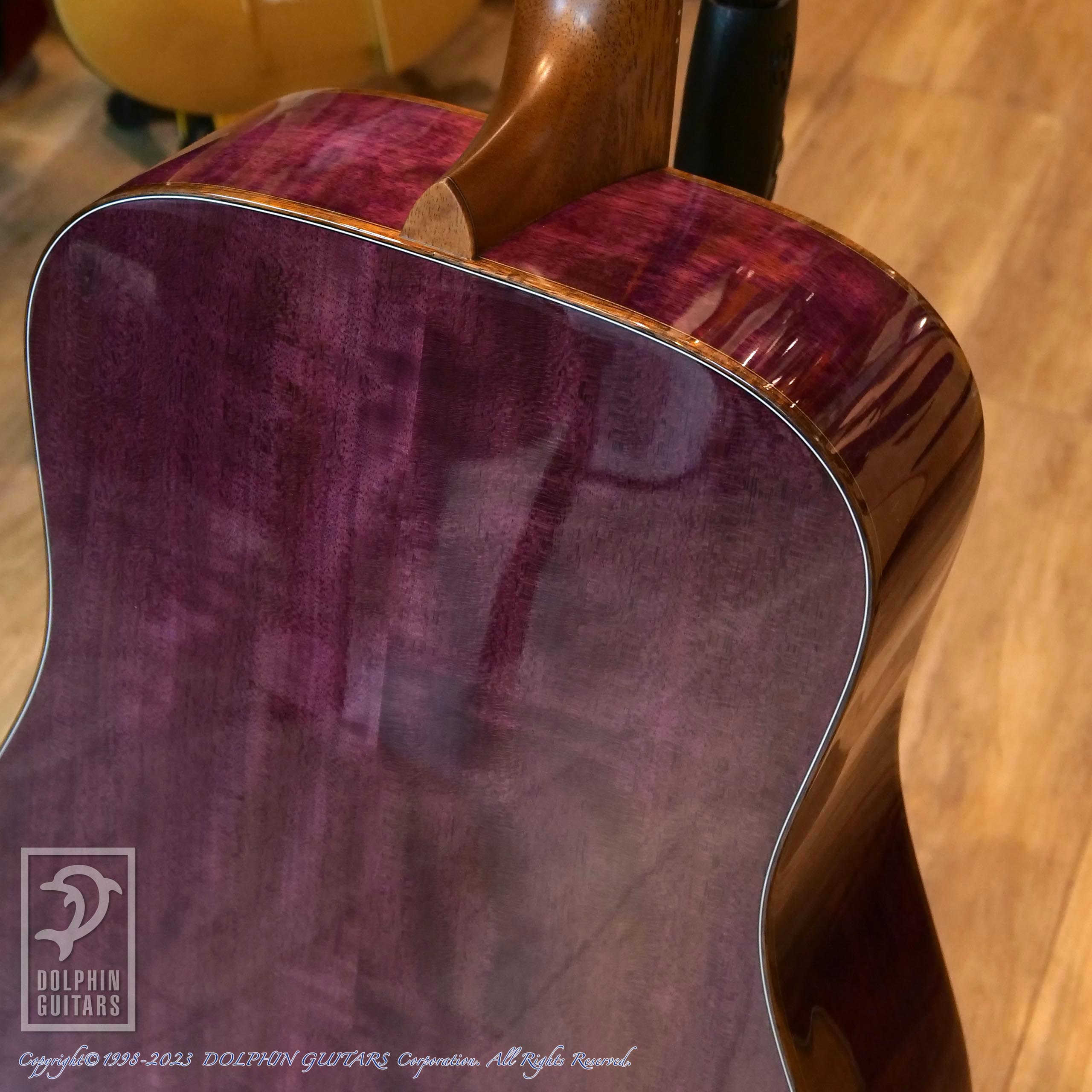 MORRIS M-104PH 2023 Limited Edition|ドルフィンギターズ