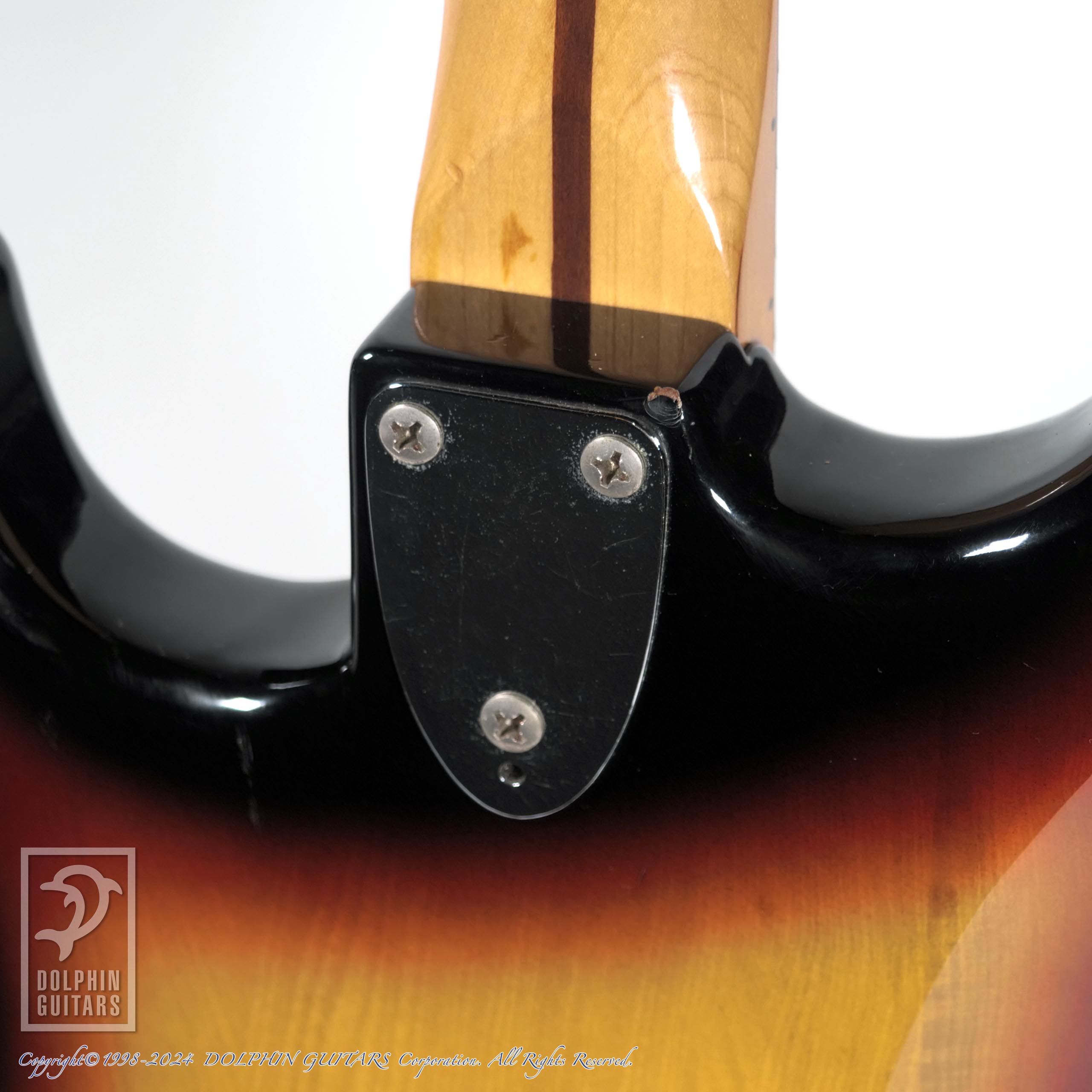 TOKAI Silver Star SS-36 3TS|ドルフィンギターズ