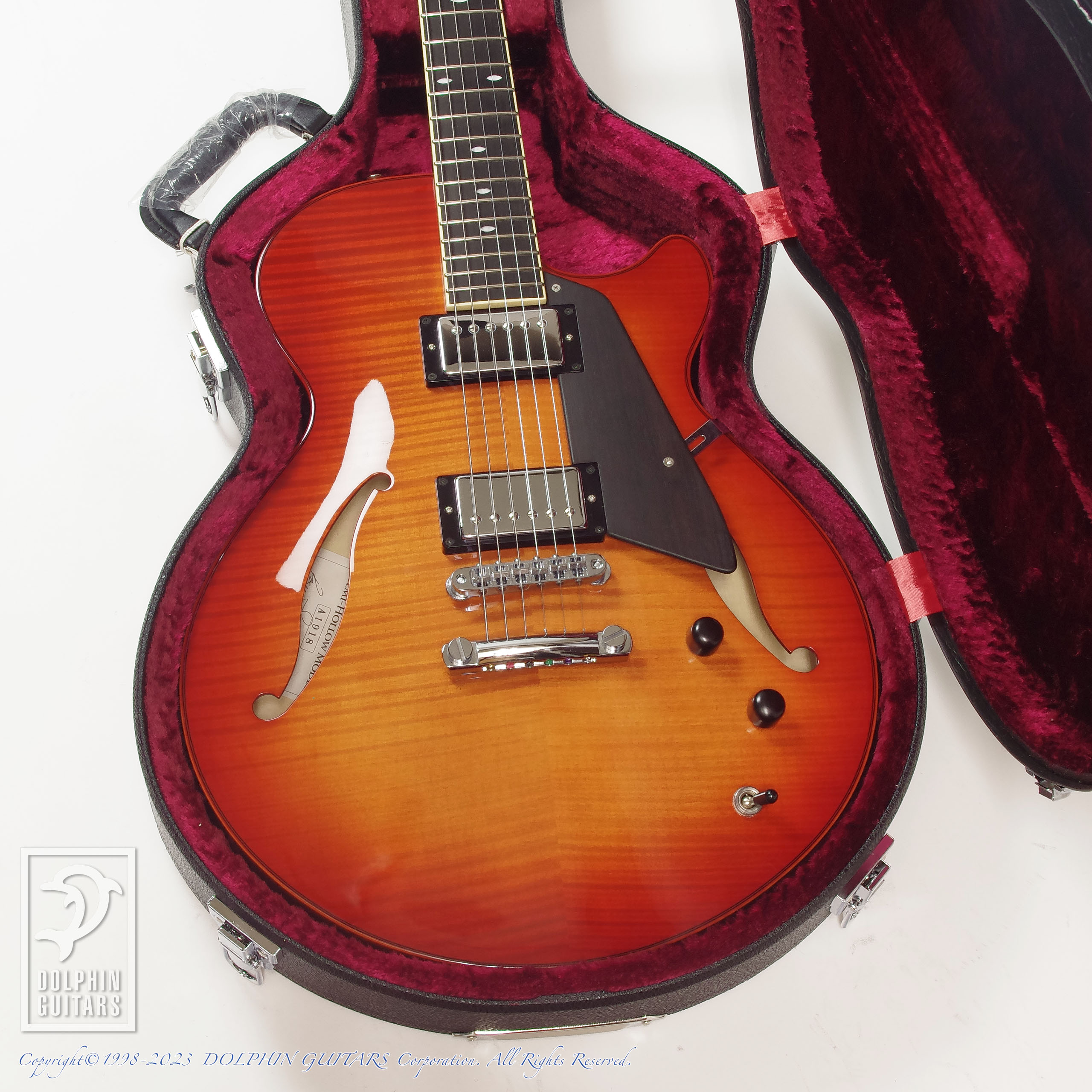 SADOWSKY Semi Hollow Model (VLB)|ドルフィンギターズ