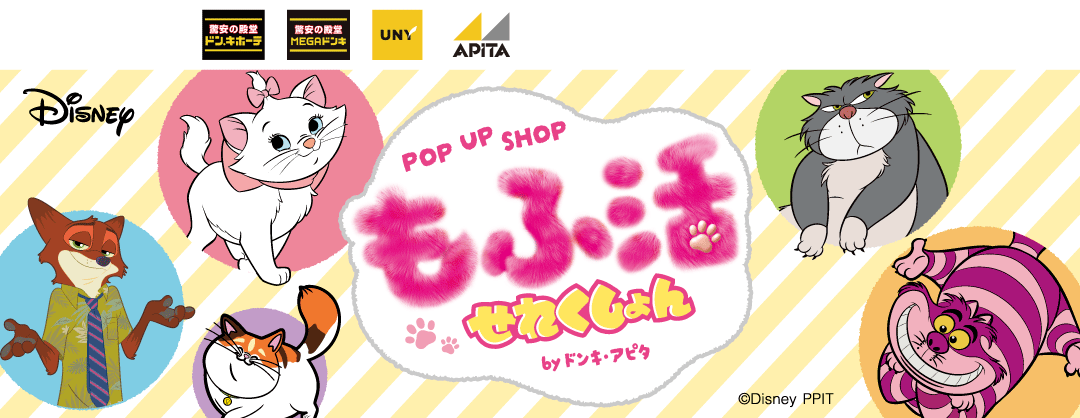 ドンキコラボラボ｜驚安の殿堂 ドン・キホーテ
