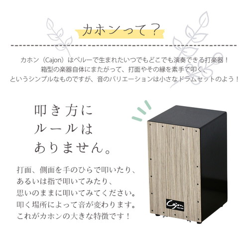 日本製 打楽器 カホン(スナッピー付・響線8本) TCA-3-BR 友澤木工