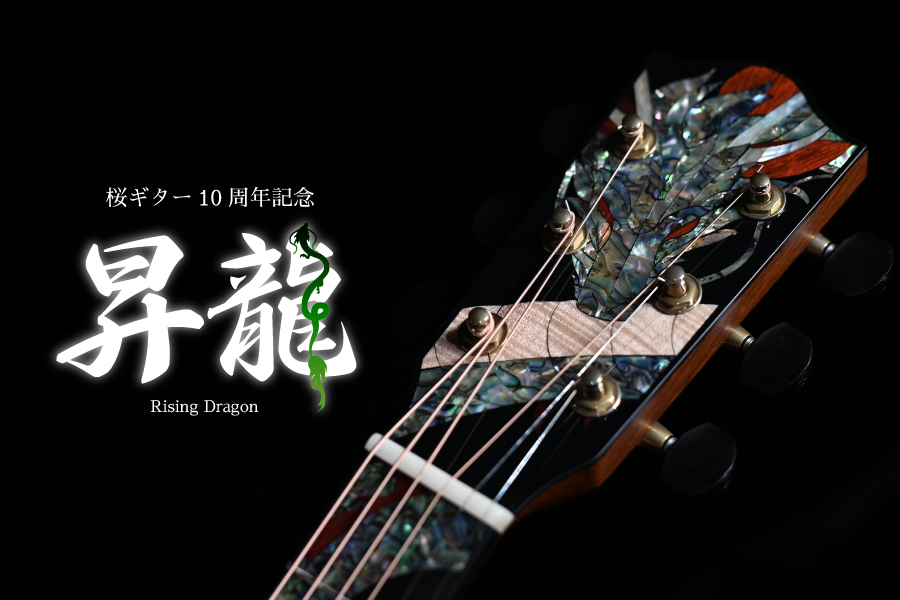 Rider R-500D Martin D-45風 Headway Momose Rider R-500D Martin D-45