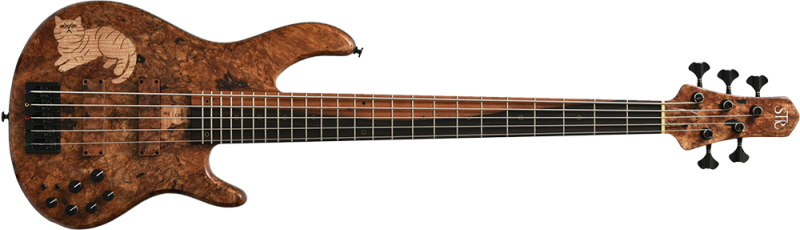 STR Custom Shop Gallery | Deviser ｜株式会社ディバイザー｜長野県