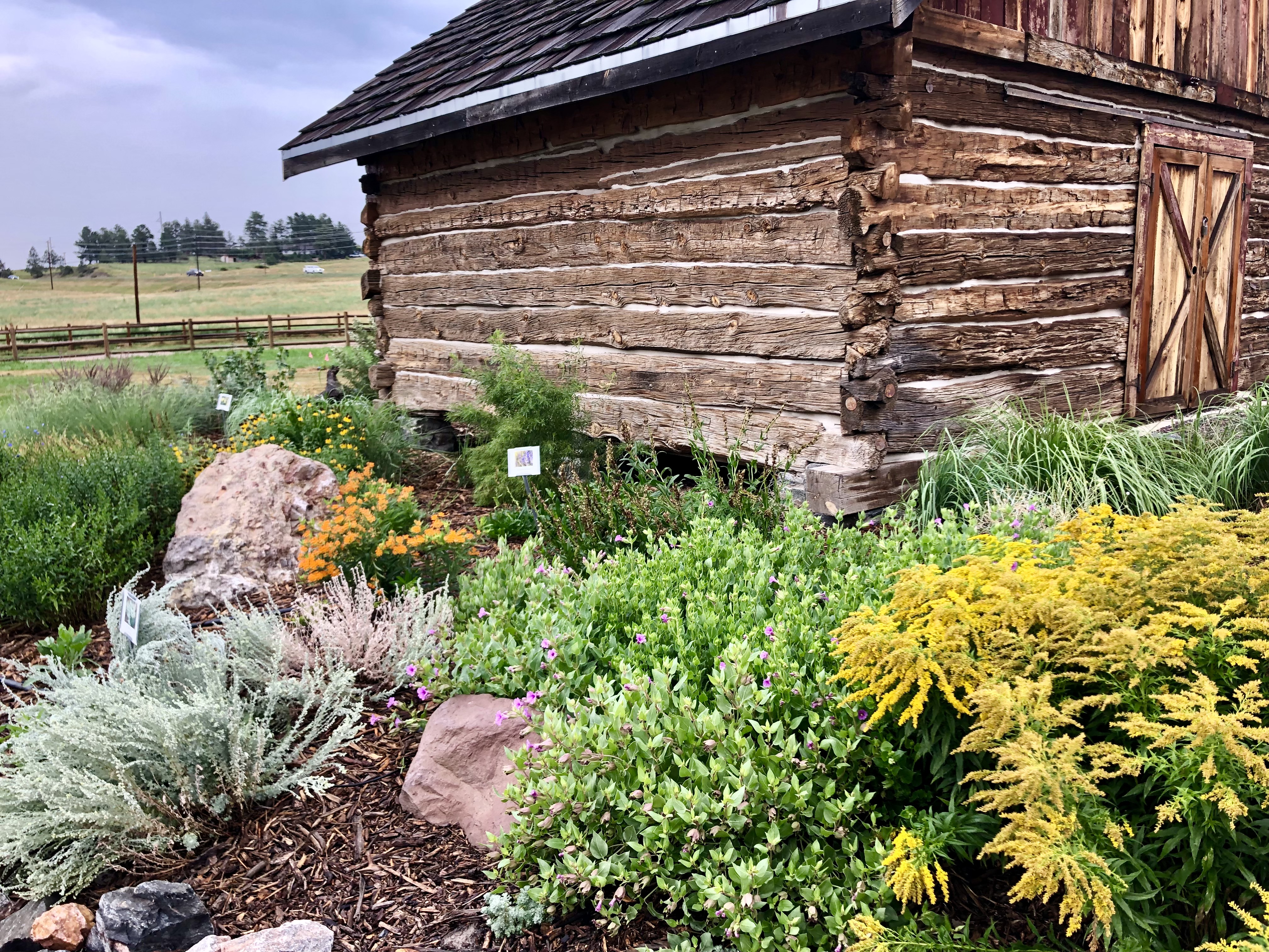 Gardening: Nurturing Colorado's nature at your doorstep