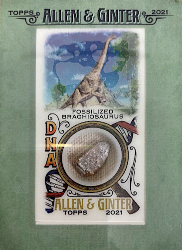 The Dinosaur Fan is a dinosaur card collector's encyclopedia