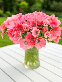 Anemone 'Barbie' | DutchGrown™ | Order Top Quality Online