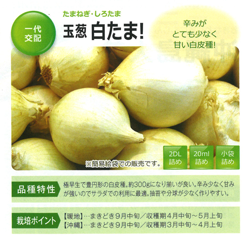 白たま！[玉葱] - e-種や｜国内最大級の野菜種・花種・苗・農業資材の