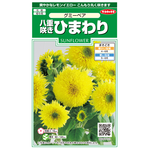 八重咲ひまわり グミーベア[ひまわり]※2026年春だね新商品 - e-種や