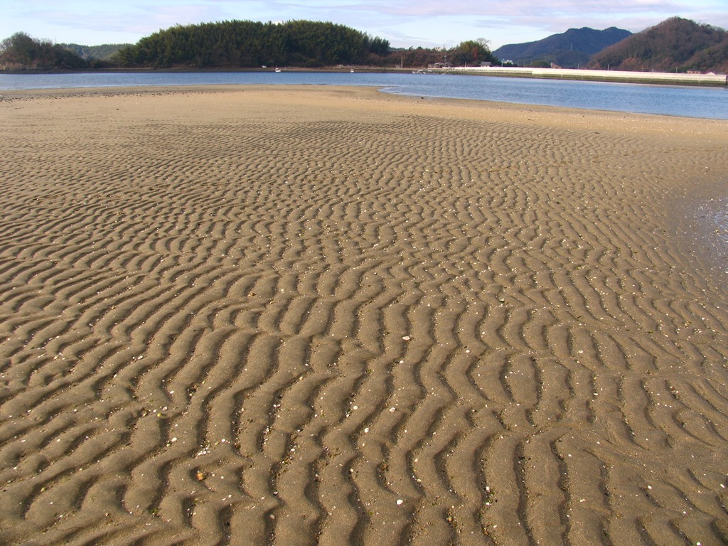 環境省_「重要湿地」の詳細情報（ハチの干潟および賀茂川河口）