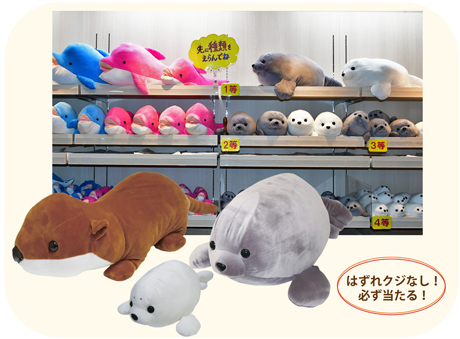 ぬいぐるみクジ | 新江ノ島水族館