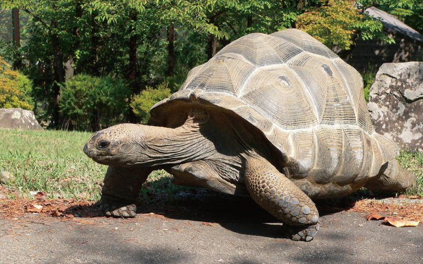 nagano2206zoo-eyecatchi.jpg