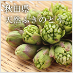 秋田県産 山わさび | ECOME屋