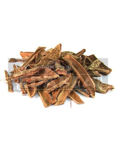 acacia-confusa-50-grs.jpg