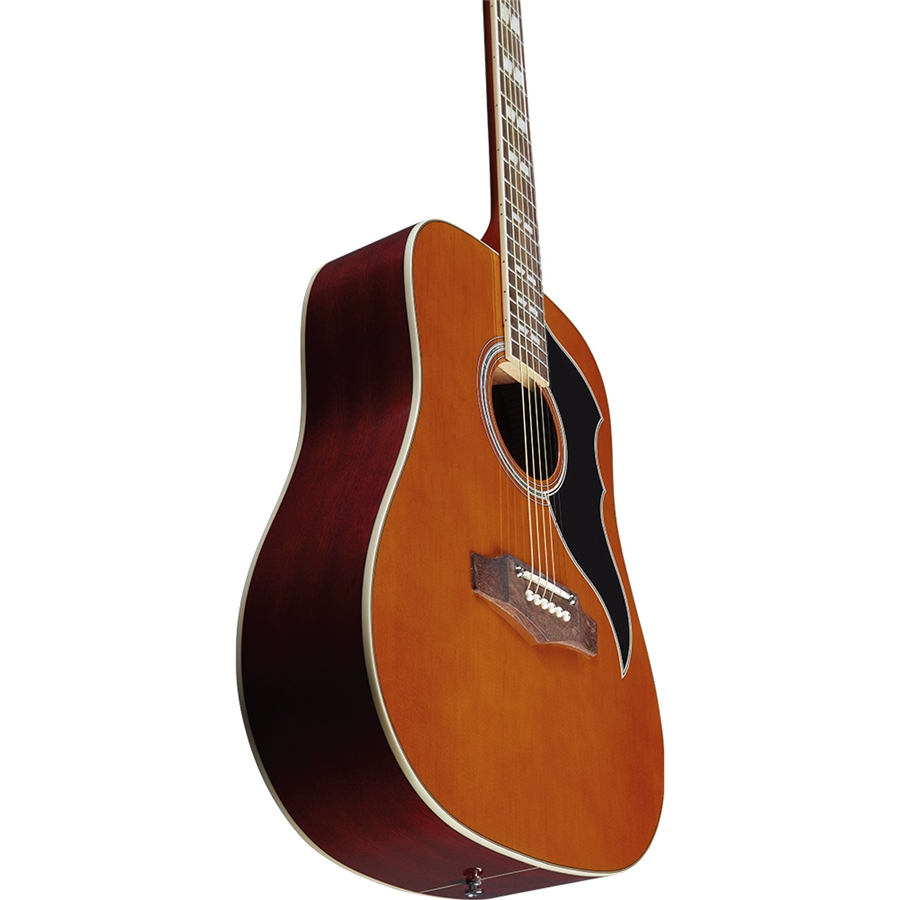 Eko Guitars Ranger VI VR Natural Top Stained Acoustic Guitar