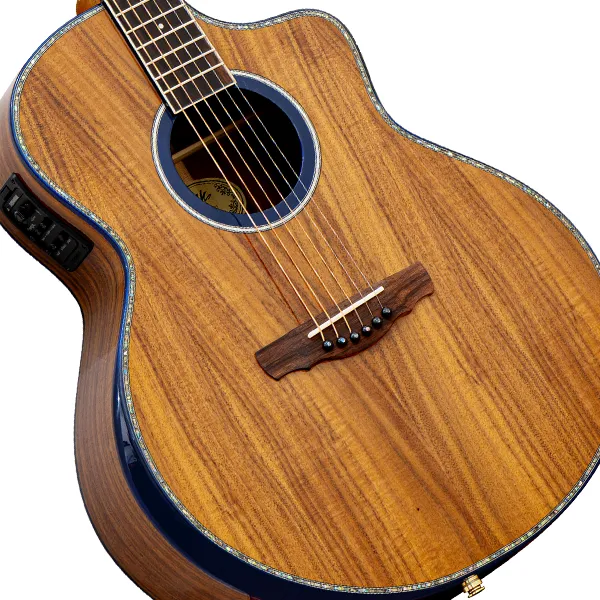 Acoustic Guitar [アコースティックギター] - ELK