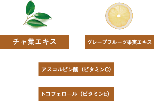 モイスチャライザー｜商品情報｜株式会社エリナ